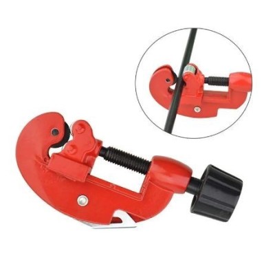 copy of  ABRICOT - 1